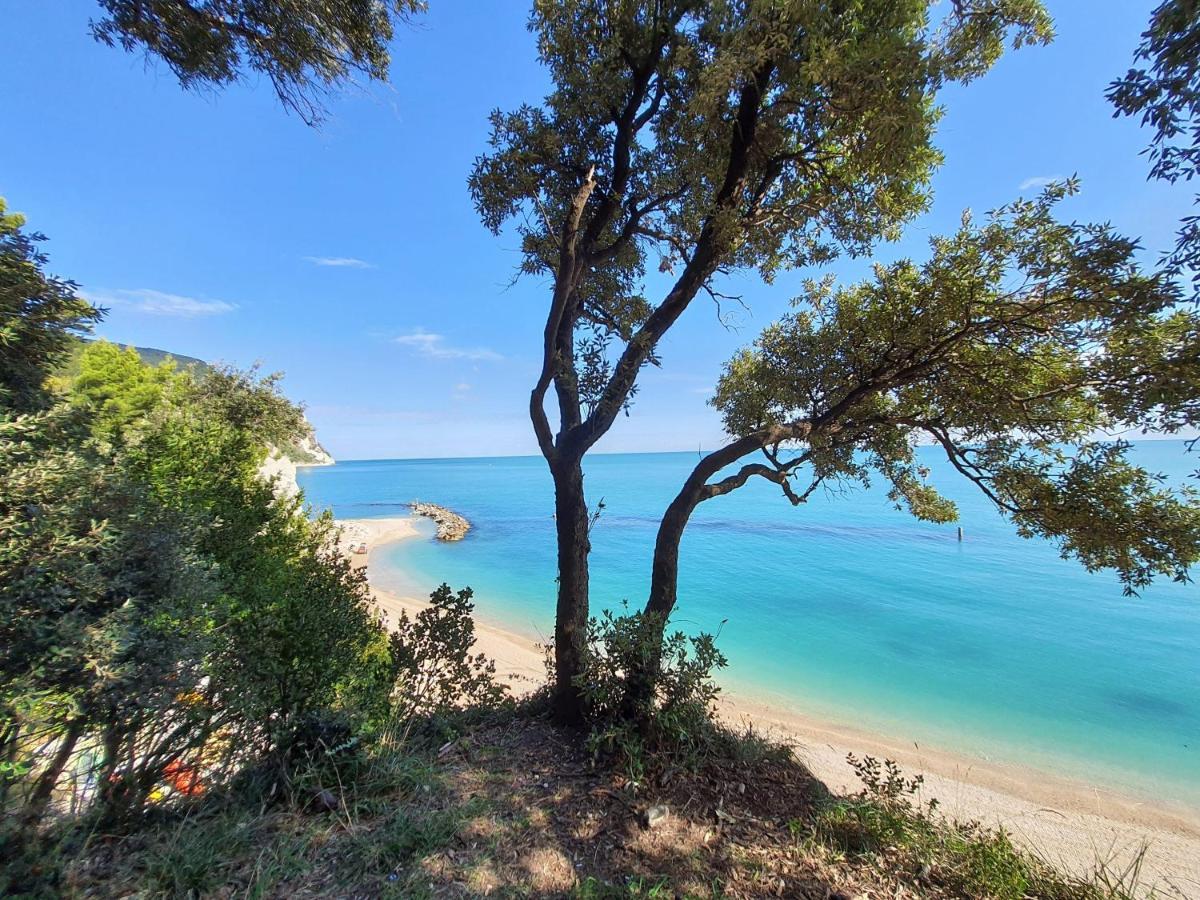 Agriturismo Rosa Antica Monte San Vito المظهر الخارجي الصورة