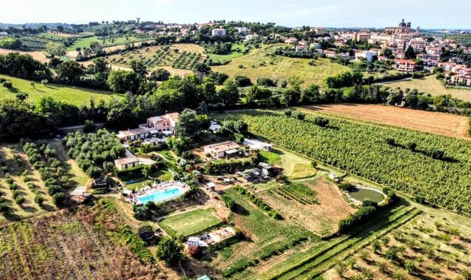Agriturismo Rosa Antica Monte San Vito المظهر الخارجي الصورة